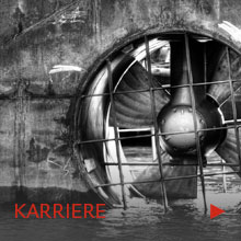 Karriere